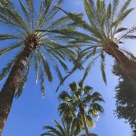 Beautiful