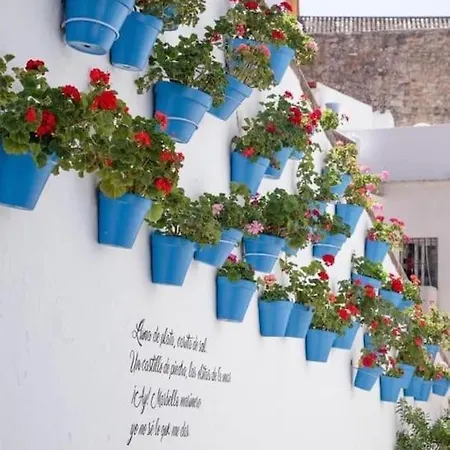 Apartment Beautiful *