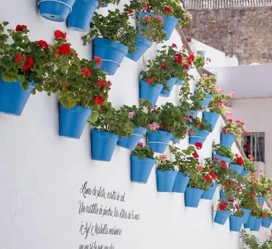 Apartment Beautiful *