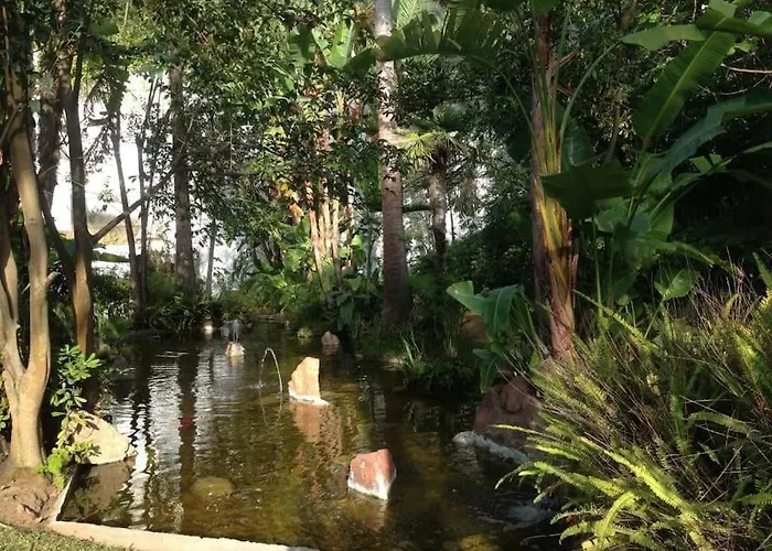 Beautiful ماربيا